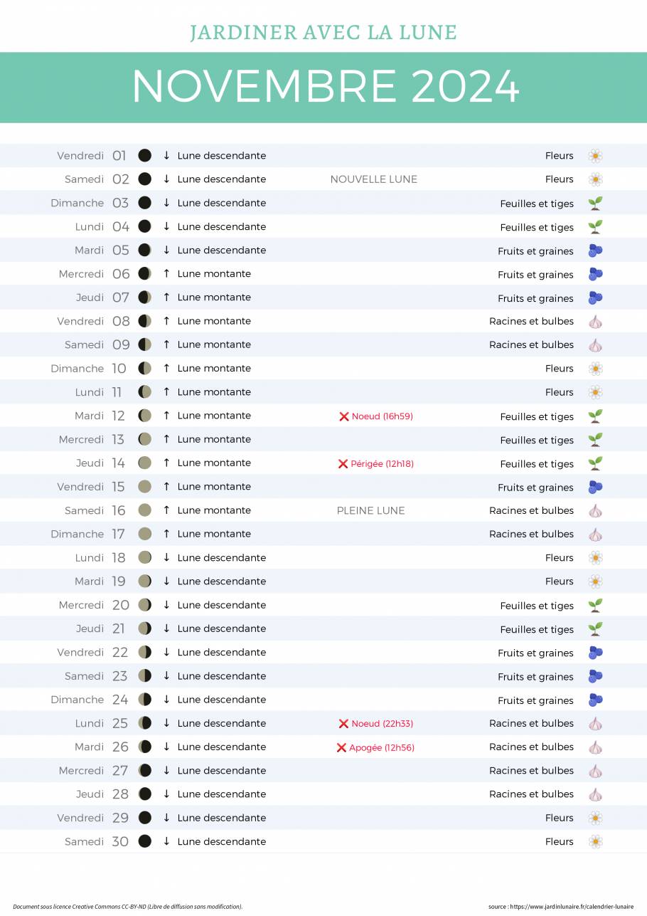 Calendrier lunaire de novembre 2024